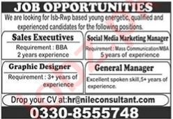 Nile Consultant Islamabad Apply Jobs 2024