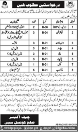 District Council Sibi Apply Jobs 2024