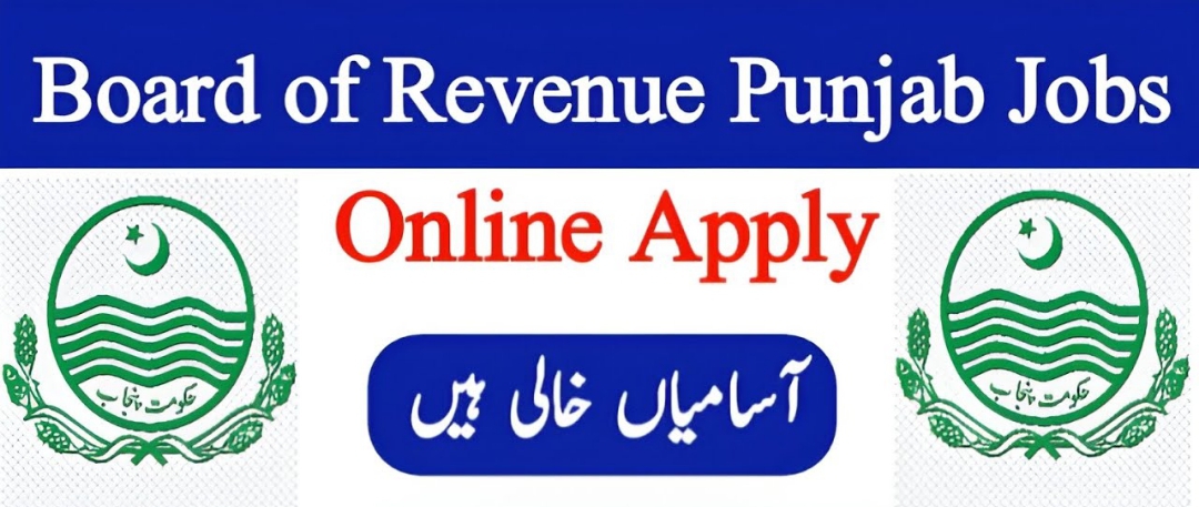 Board of Revenue Government of the Punjab New Jobs 2024